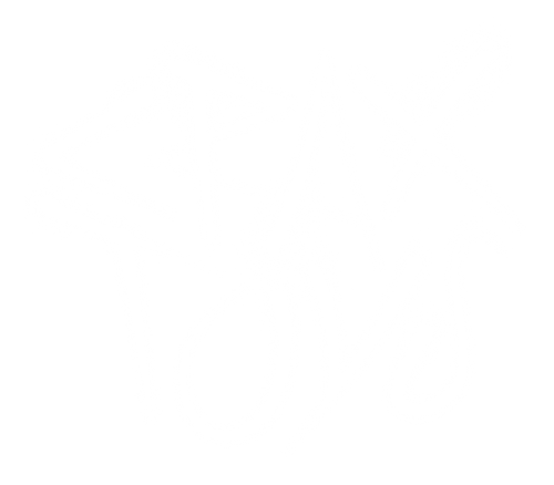 CRAX TOYS